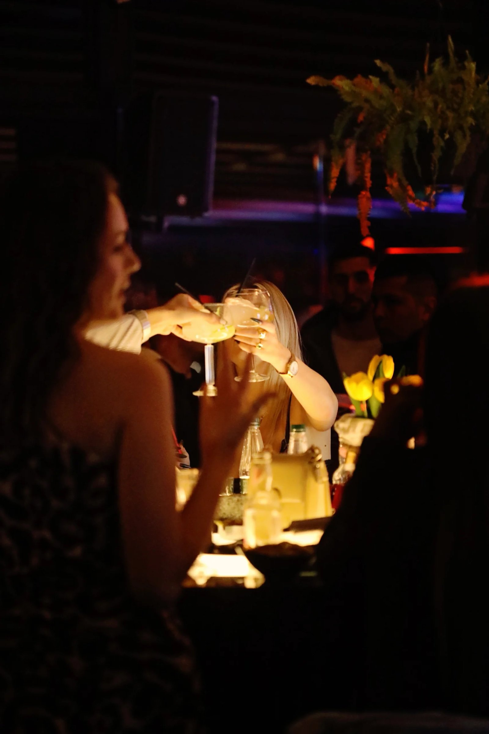 Lime Lounge rooftop bar Marina Bay Vlorë